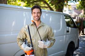 Emergency Pest Control in Shelton, WA